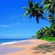 Golden Sand Beaches All Over Goa